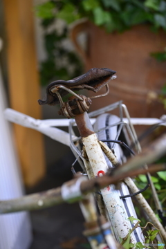 時が経って・・・