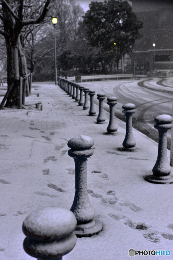 18豪雪・東京----②