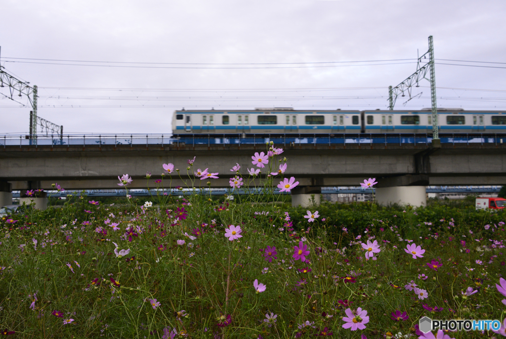 早くしないと---④