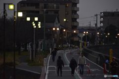 夕方の散歩で体力維持