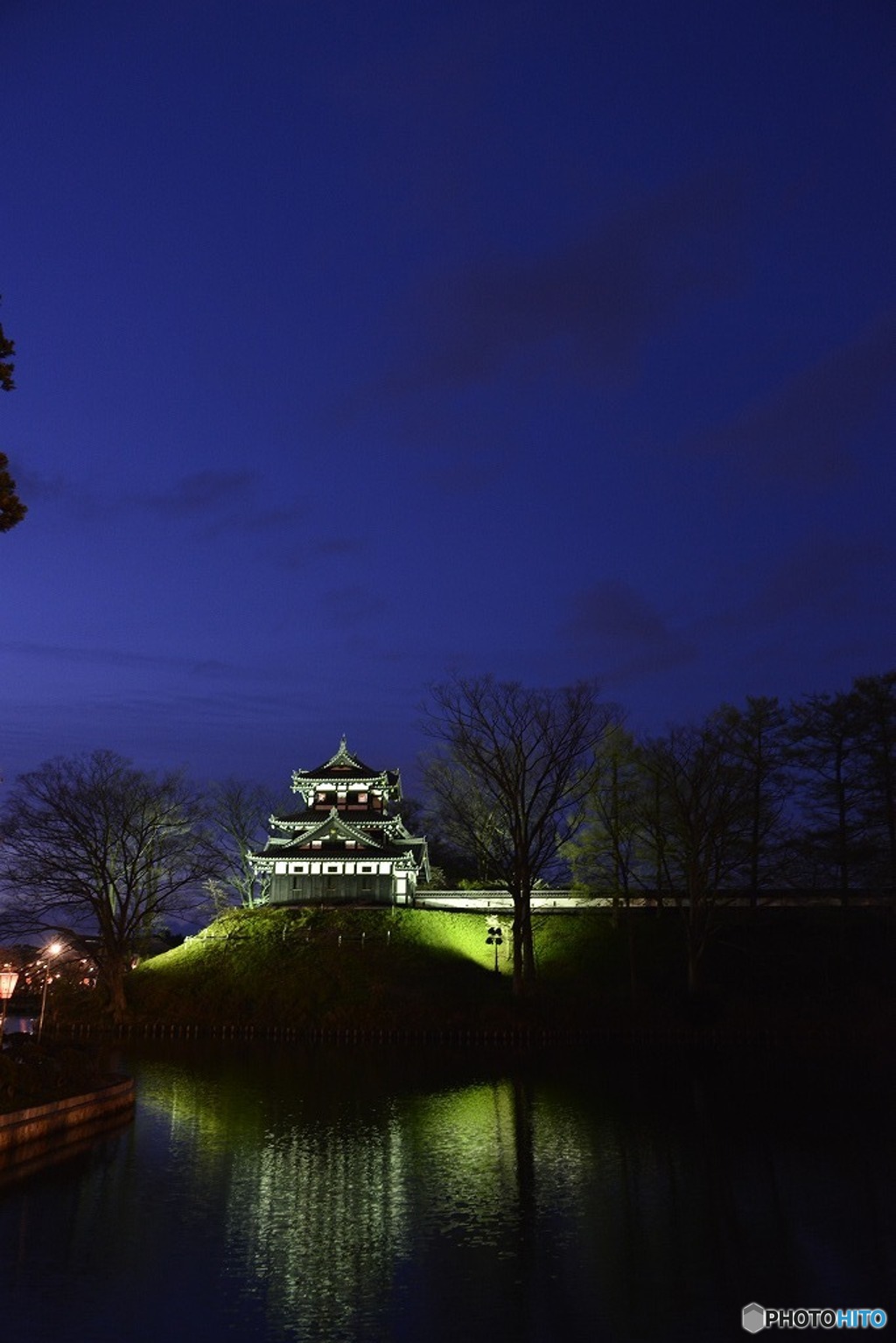 夜桜の城