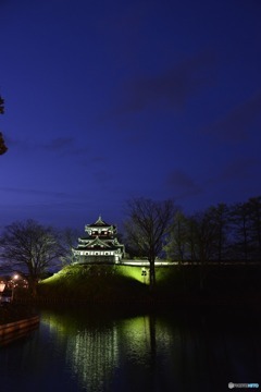 夜桜の城