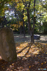 九品仏浄真寺の紅葉----⑪