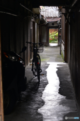 真夏の京都散歩---④
