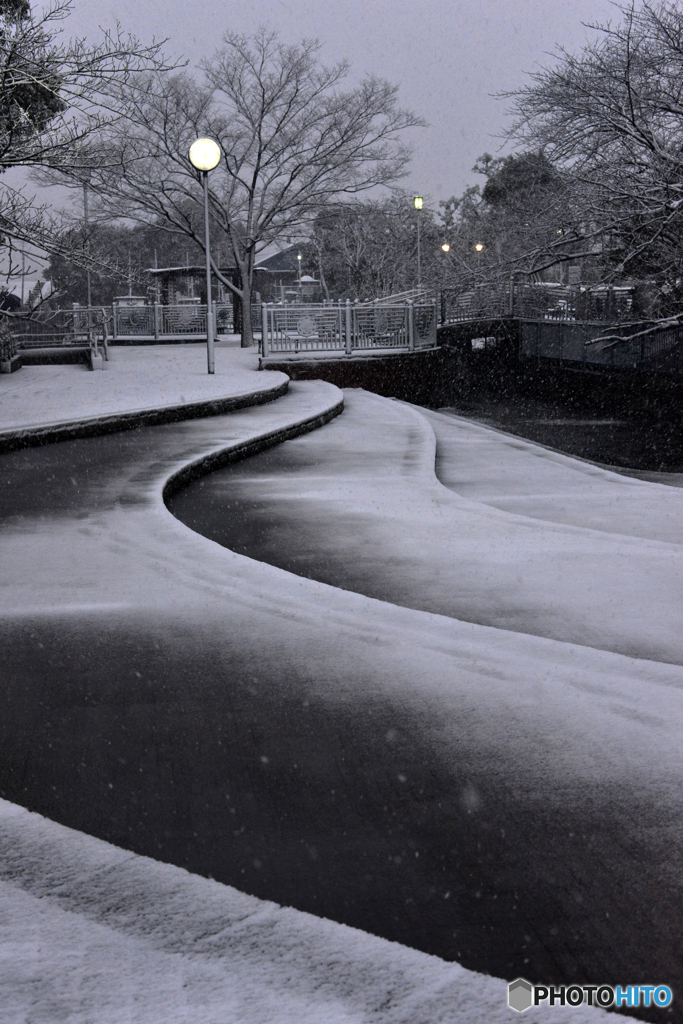 18豪雪・東京----③