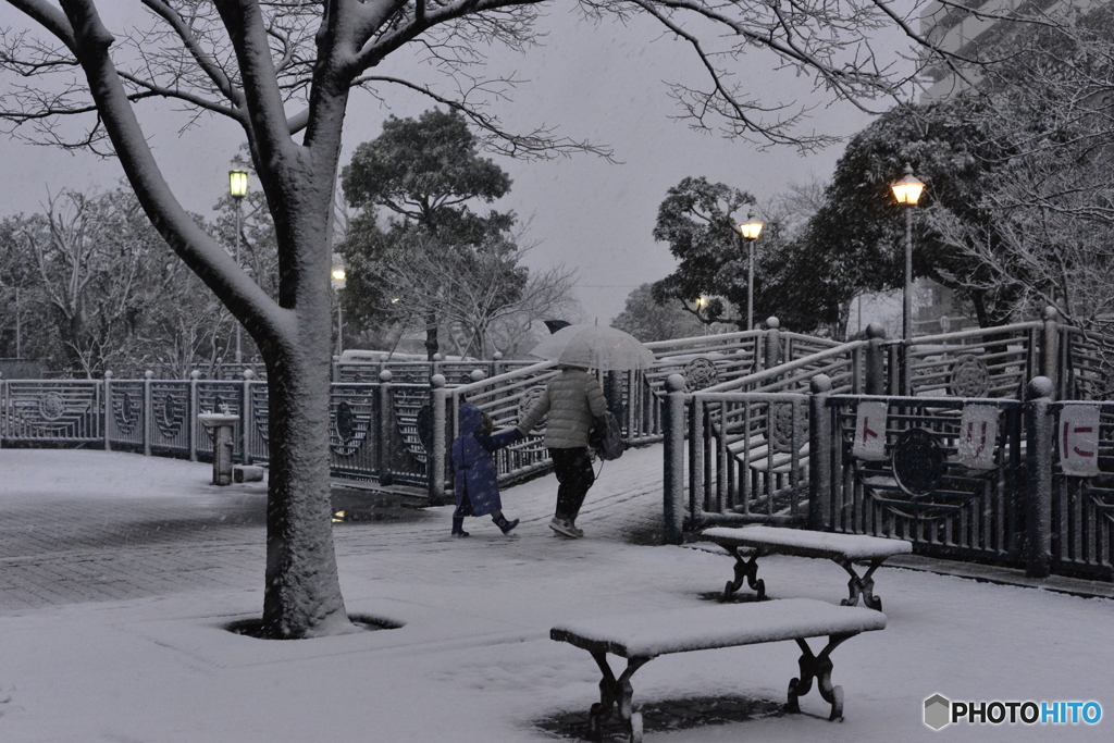 東京大雪---②