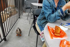 おいしそう！