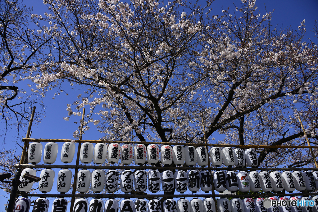 虚しい青空