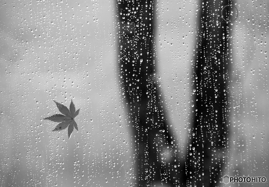 雨そして・・・