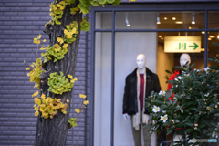 有楽町の秋模様----①