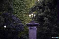 公園への入口