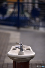 飲んだことはない！