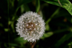 線香花火？---①