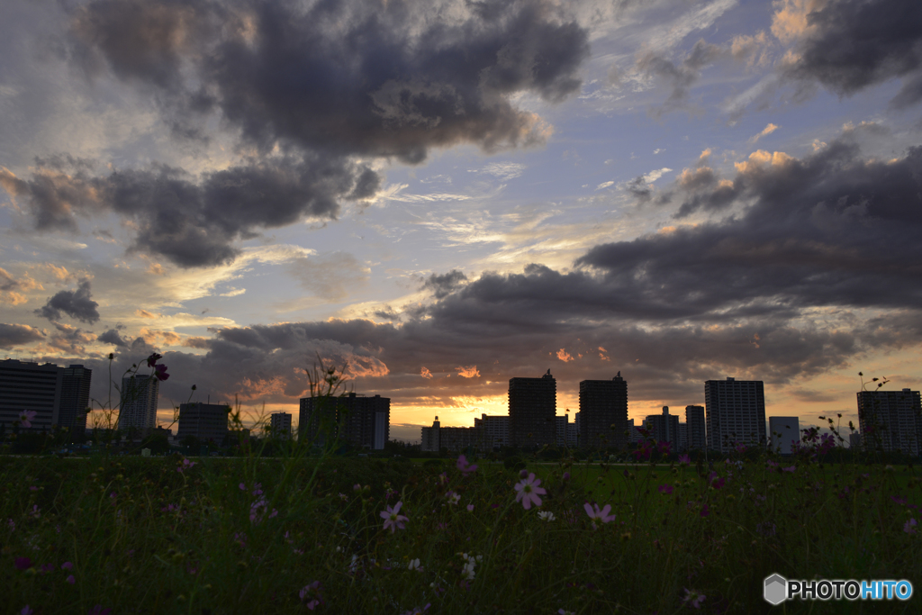 夕陽を追って---①