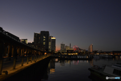 なぜ夜景を撮るの？