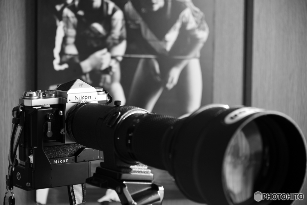 虫干ししましょ！----①