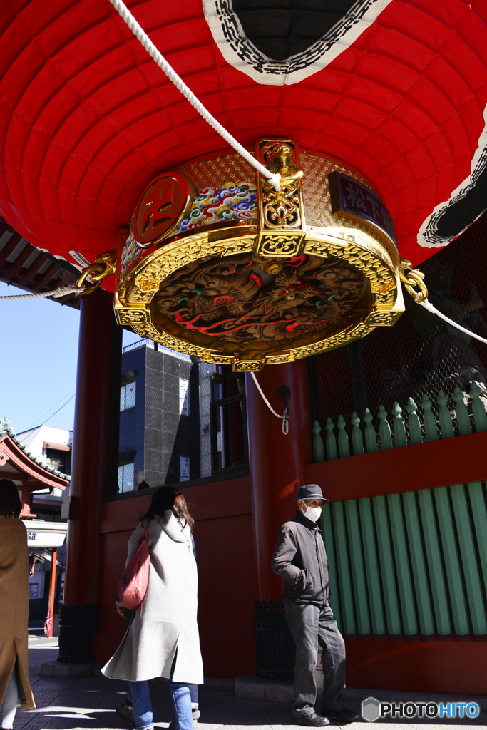 たまには下から覗いてみな！