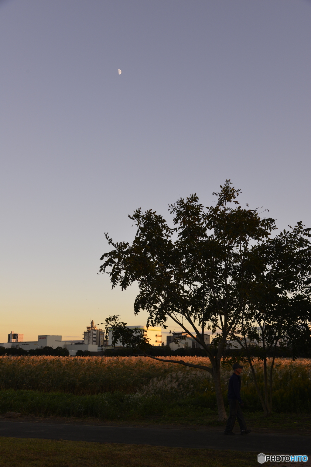 多摩川夕暮れ散歩---③