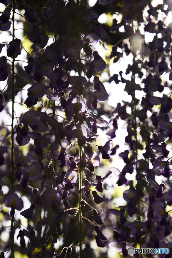 季節は巡る----③