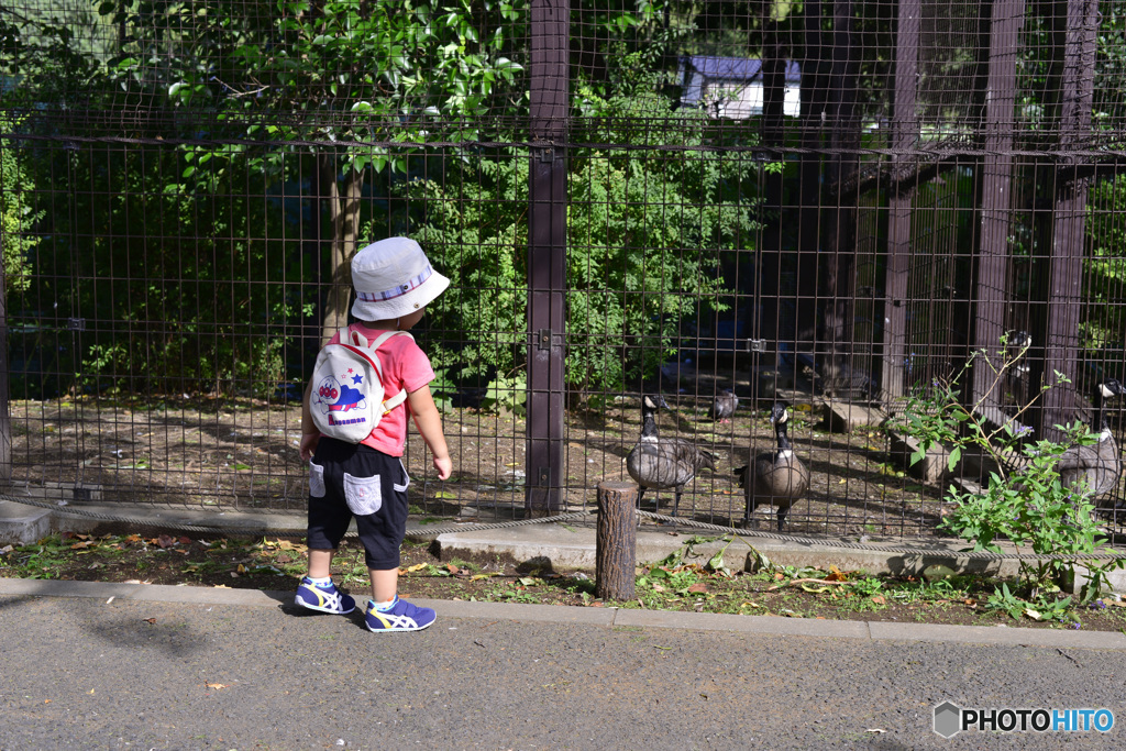 わたち、２ちゃいだよ！