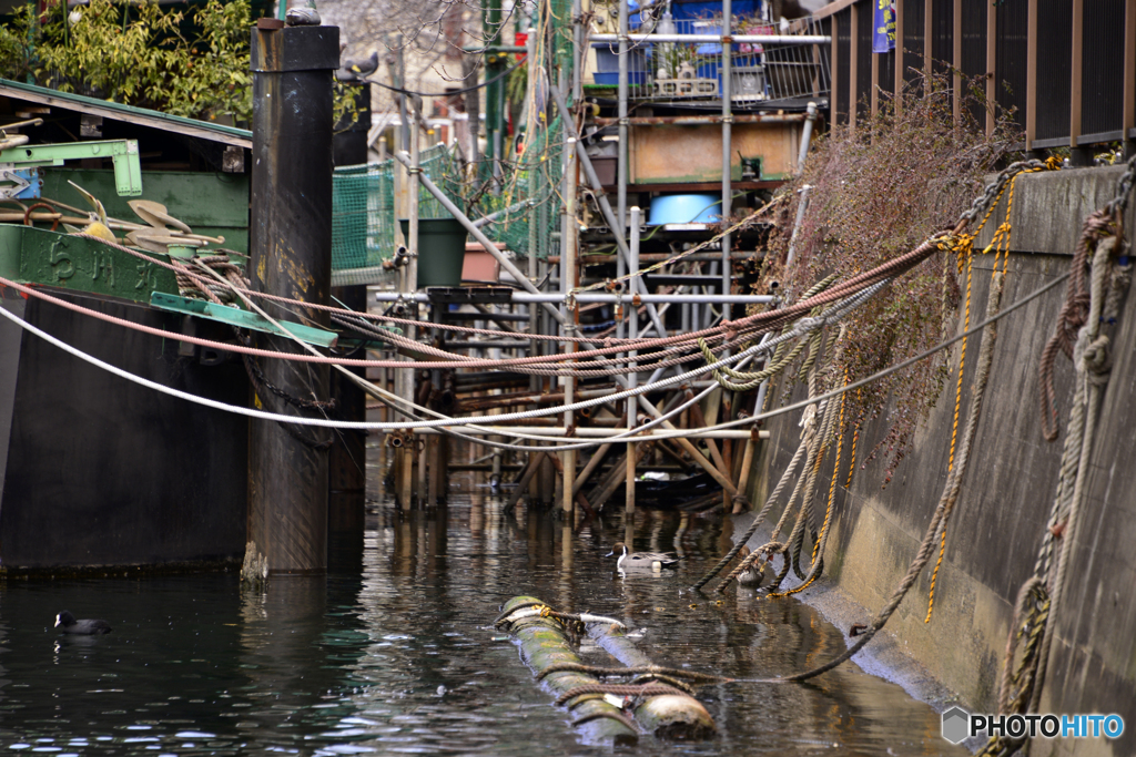 ある下町の光景
