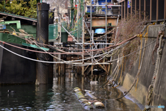 ある下町の光景