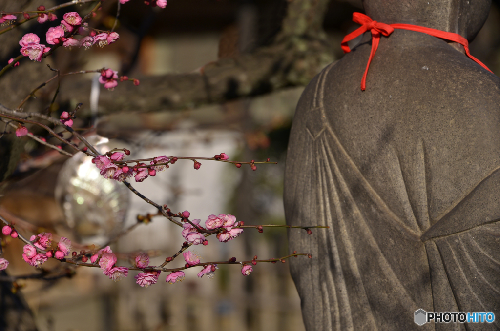 紅梅・・・お地蔵様に寄り添って