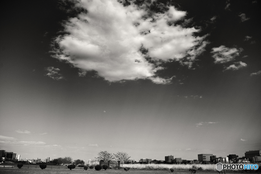 晴天の雲