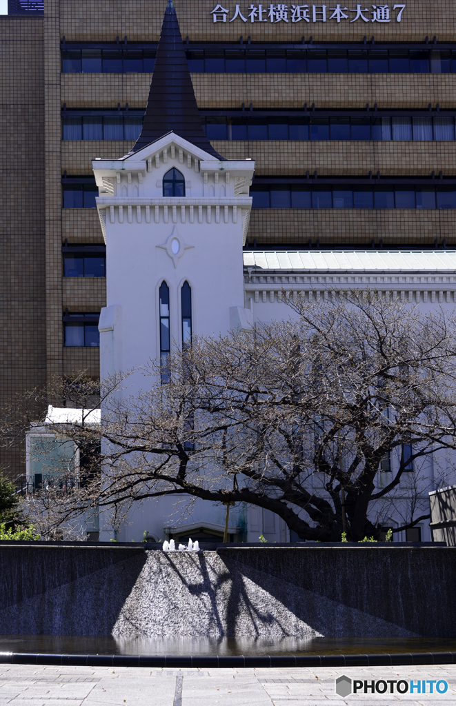 もう多分満開に・・・