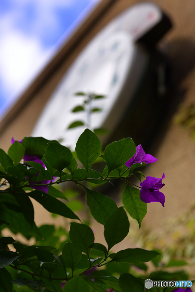 秋・街角----(22)