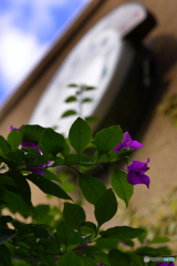 秋・街角----(22)