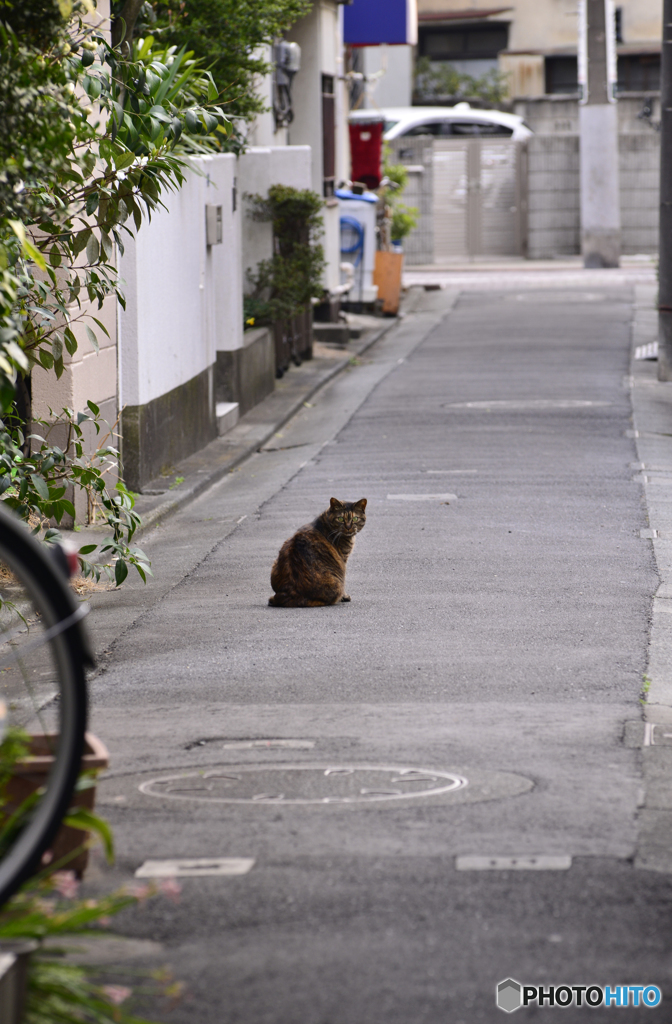 私道ですが・・・