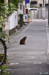 私道ですが・・・