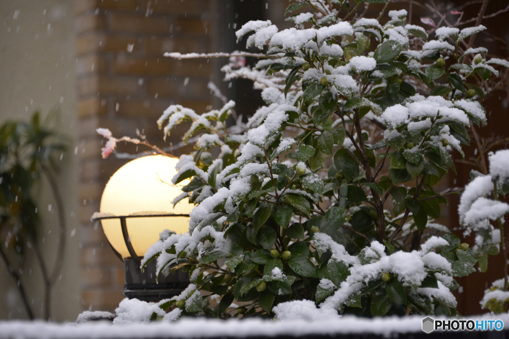 東京は「22豪雪」----③