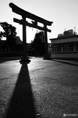 神社暮れる頃