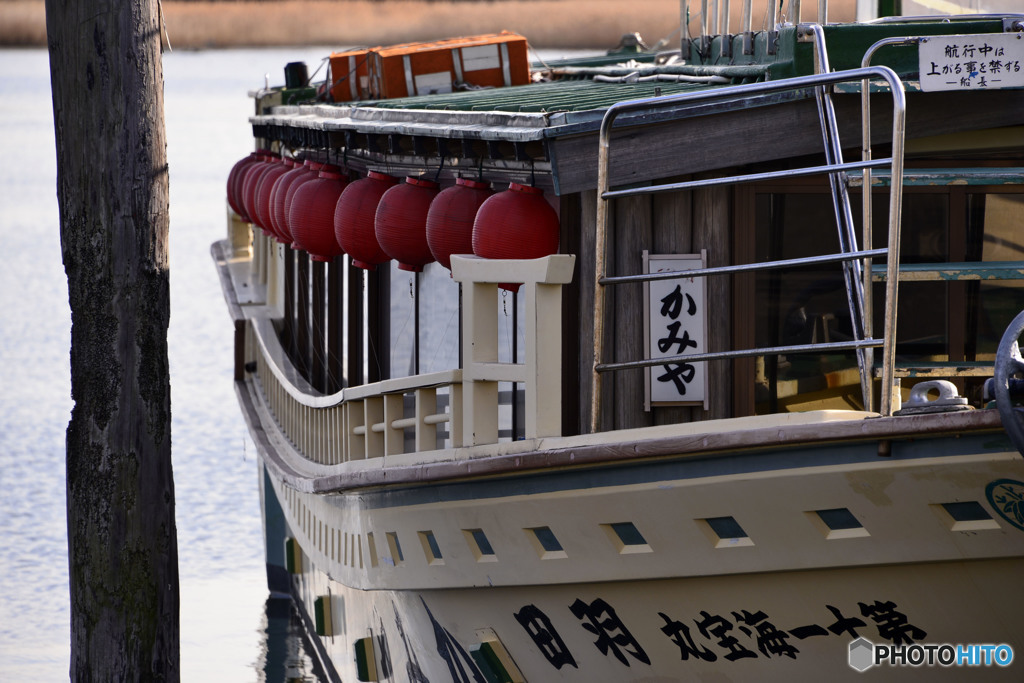 多摩川散歩---③