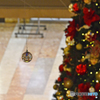 視線を感じて！・・・X’mas仕様