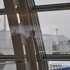 自分の姿を重ねて・・