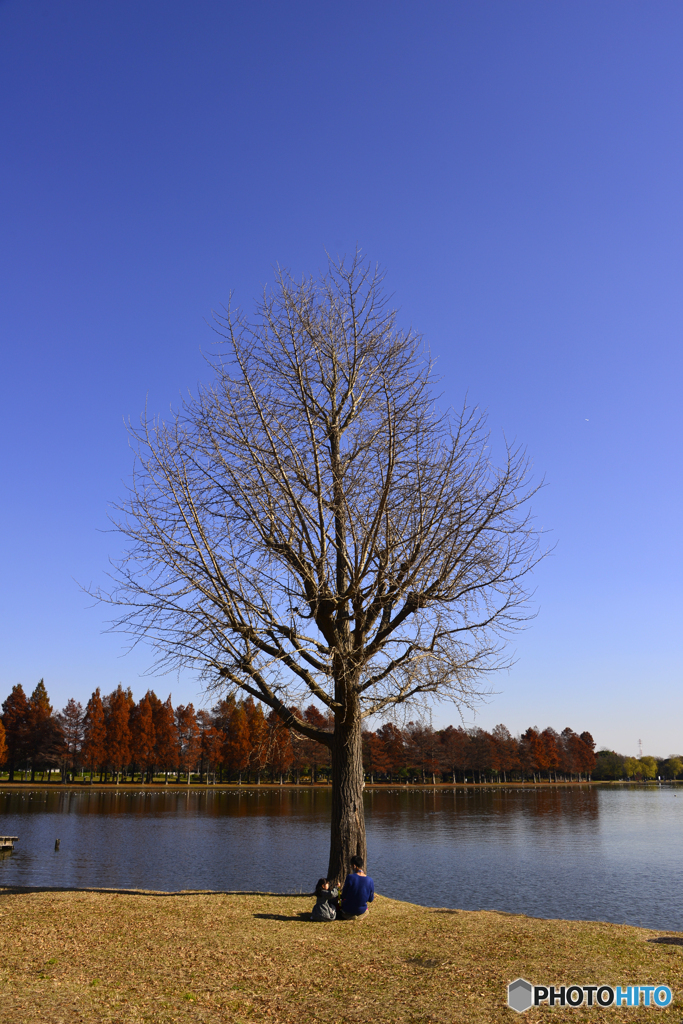 公園の秋----⑮