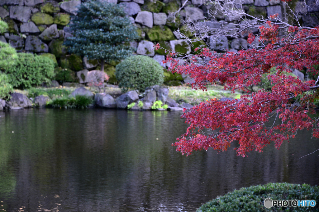 日比谷公園にて秋景----③