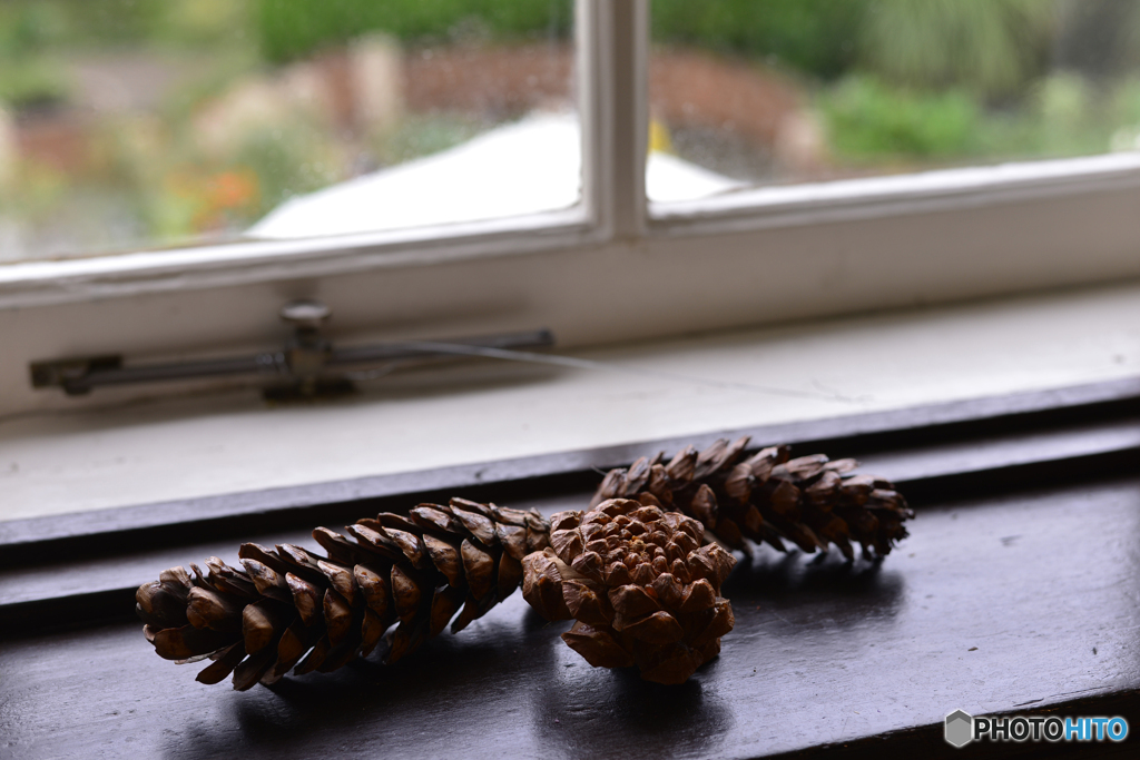 秋をちょっとだけ・・・