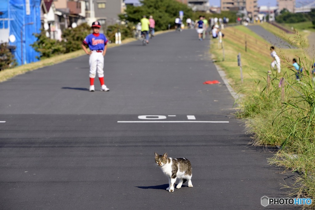 散歩道のある日---②