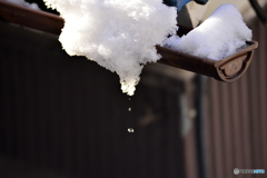 大雪の降った朝---④