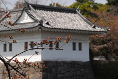城にも春が---③