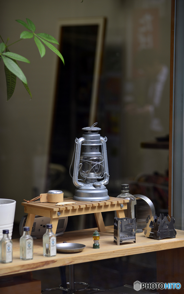 これも撮りました