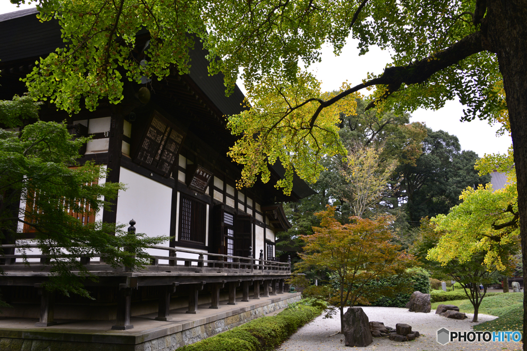 九品仏浄真寺---④