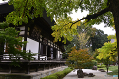 九品仏浄真寺---④