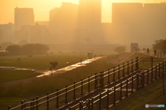 夕陽を追いかけて・・・