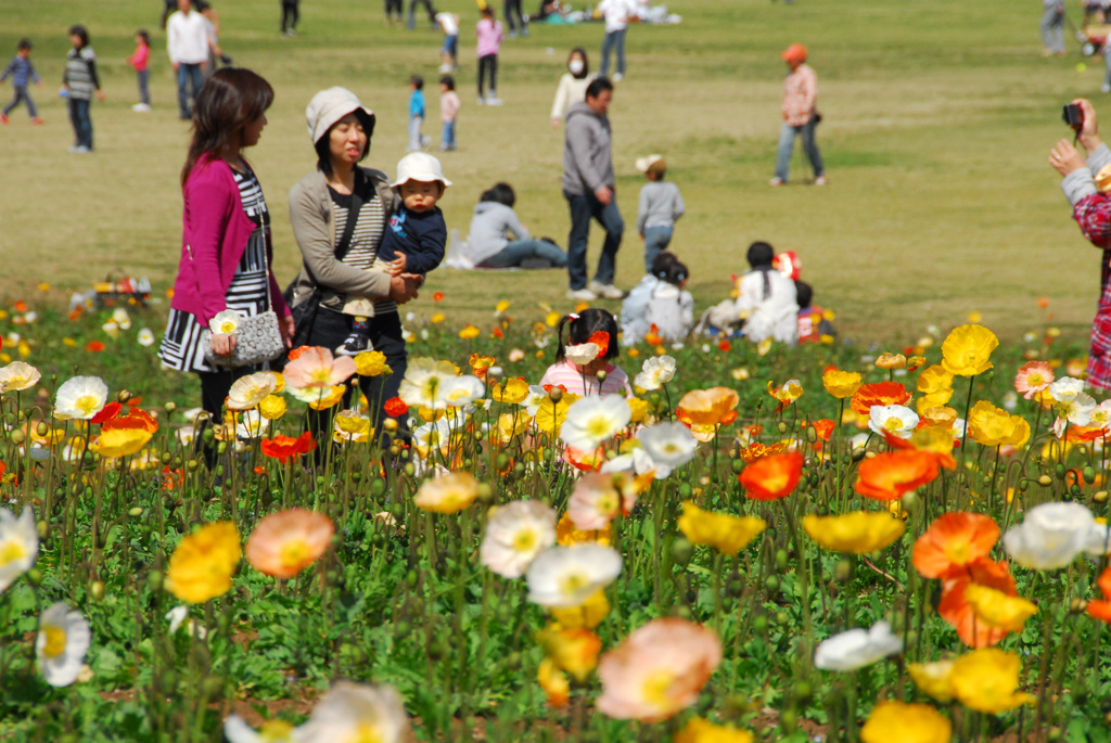昭和記念公園にて---③