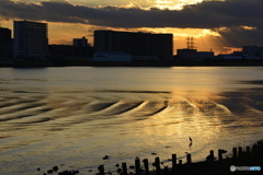 多摩川夕景----①